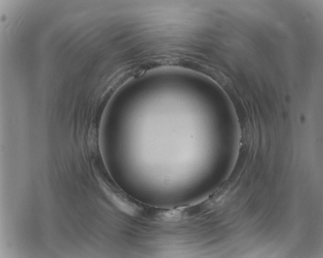 X0000075820092200609221345