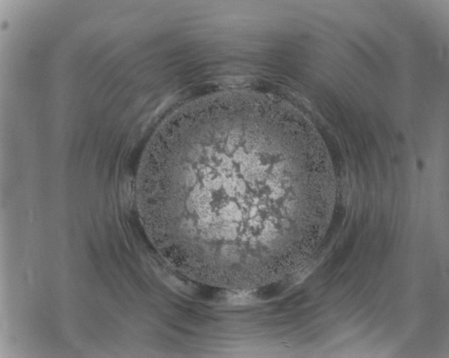 X0000075820093200609221345