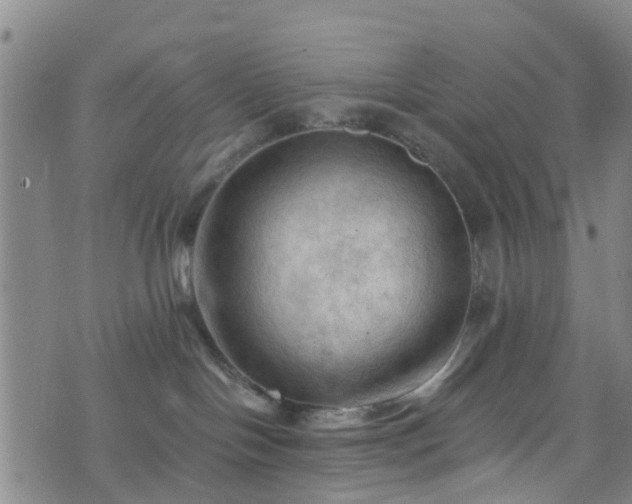 X0000075820094200609221345