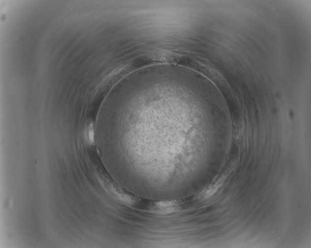 X0000075820095200609221345