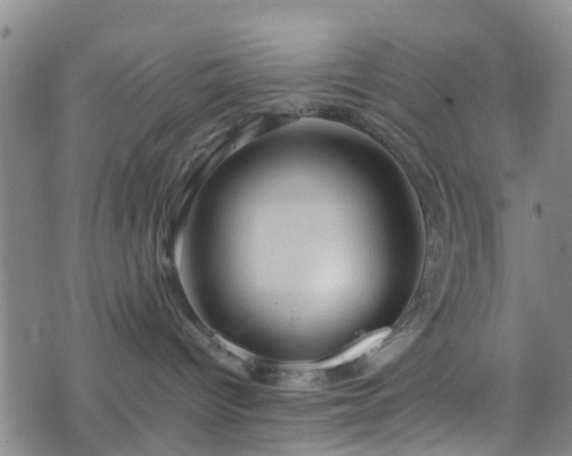 X0000075820096200609221345