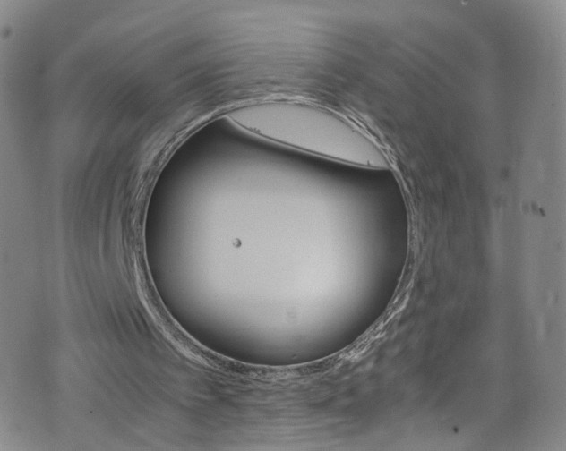 X0000075820097200609221344