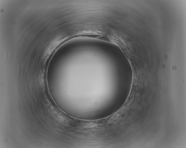 X0000075820098200609221344