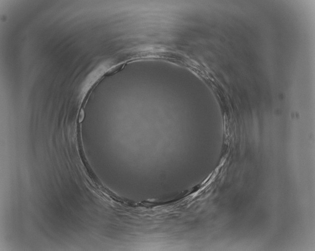 X0000075820099200609221344