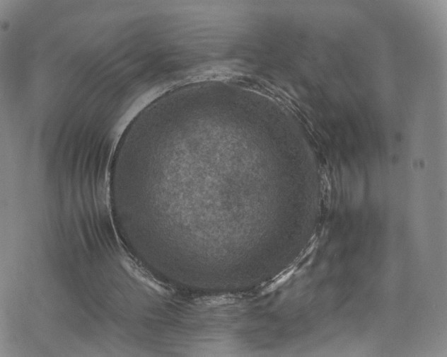 X0000075820100200609221344