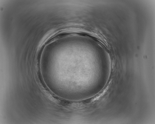 X0000075820101200609221344