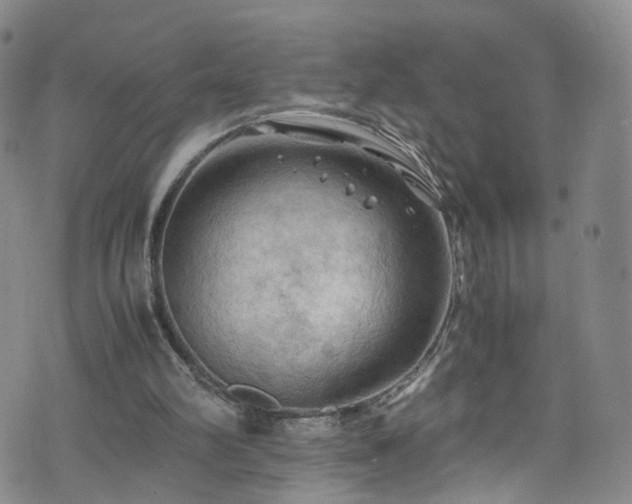 X0000075820102200609221344