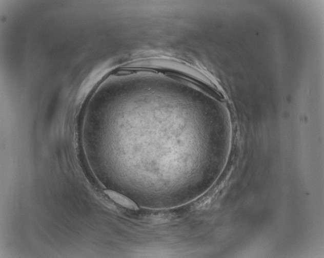 X0000075820103200609221344