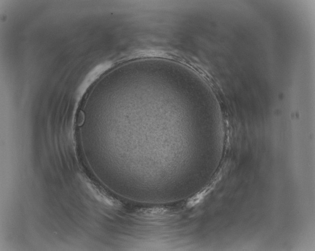 X0000075820104200609221344