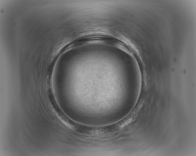 X0000075820105200609221344