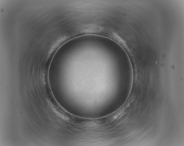 X0000075820106200609221344