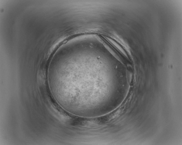 X0000075820107200609221344