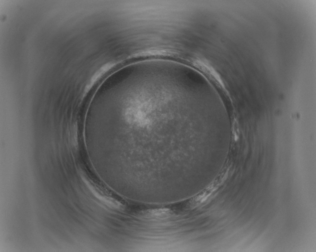 X0000075820108200609221344