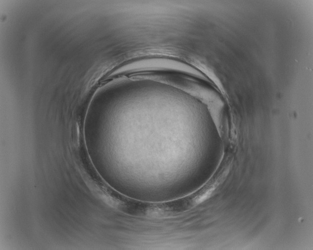 X0000075820109200609221344