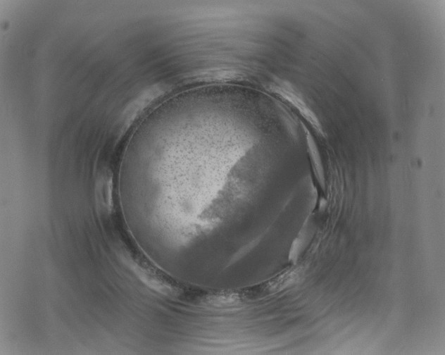 X0000075820110200609221344