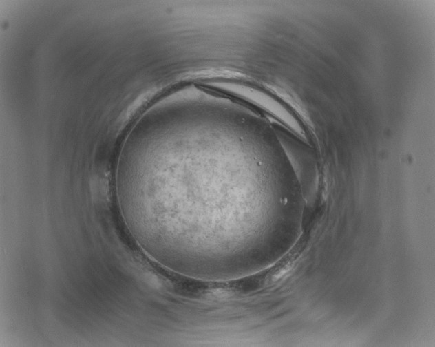 X0000075820111200609221344