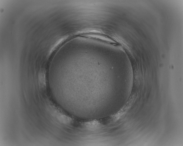 X0000075820112200609221344