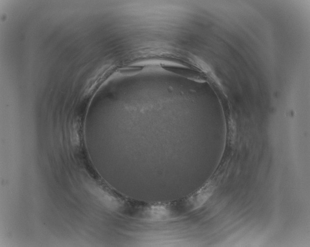 X0000075820114200609221344