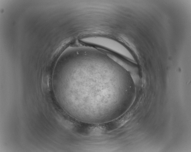 X0000075820115200609221343