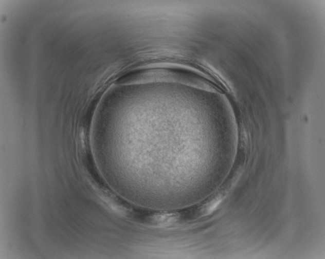 X0000075820117200609221343