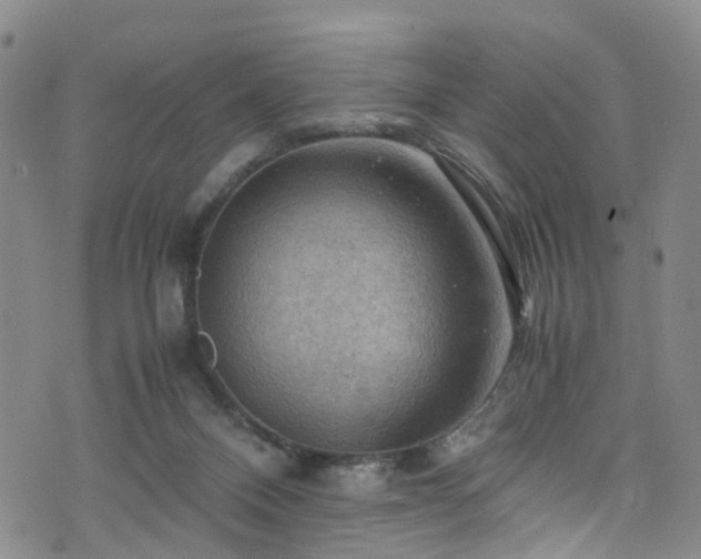 X0000075820120200609221343