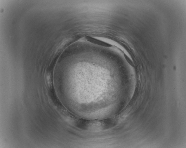 X0000075820123200609221343