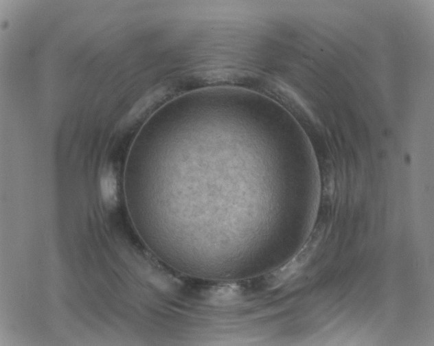 X0000075820124200609221343