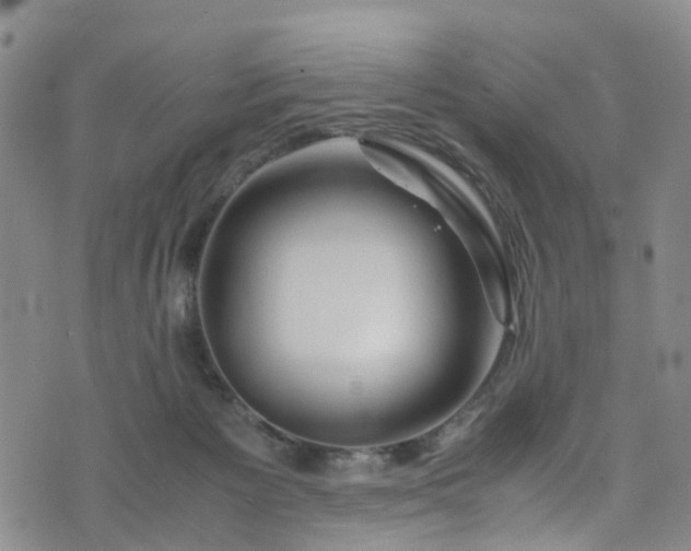 X0000075820125200609221343