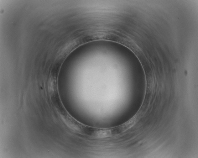 X0000075820126200609221343