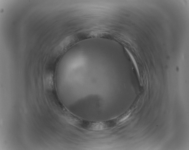 X0000075820127200609221343