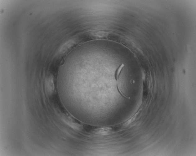 X0000075820128200609221343