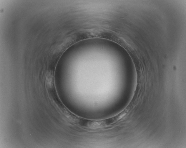 X0000075820129200609221343