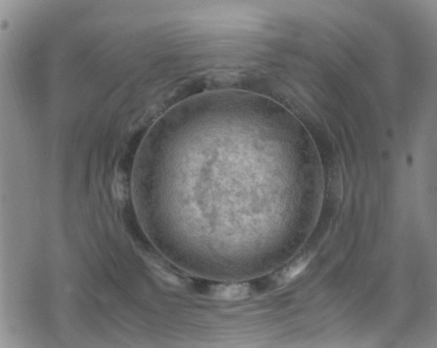 X0000075820135200609221343