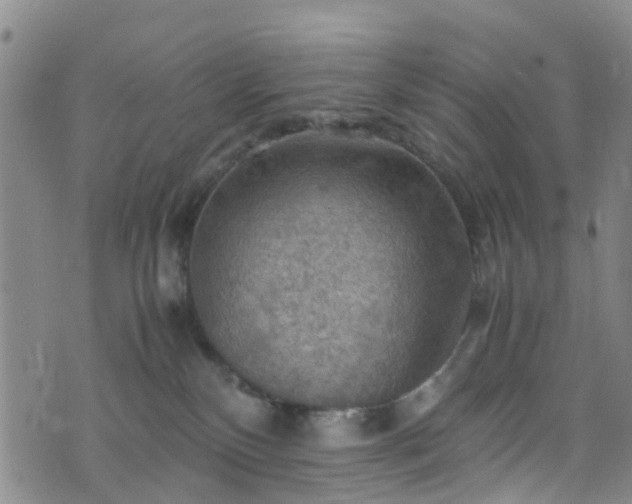 X0000075820136200609221343