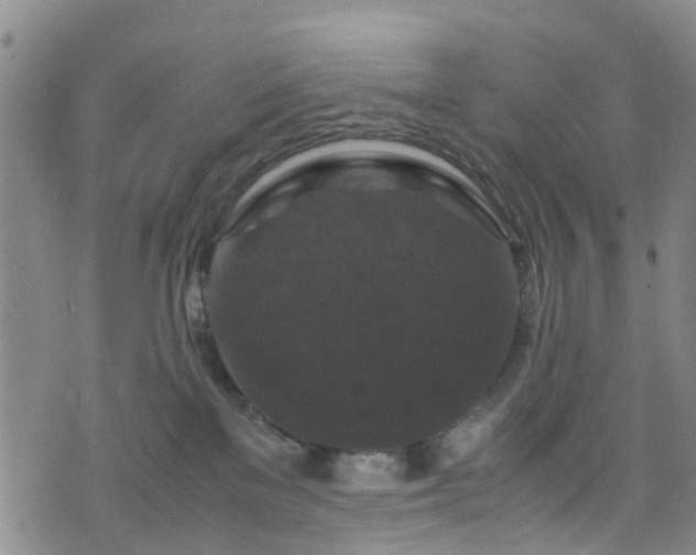 X0000075820137200609221343