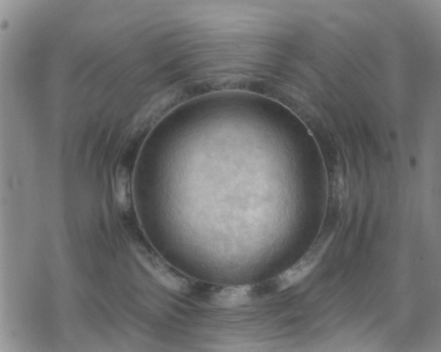 X0000075820138200609221343