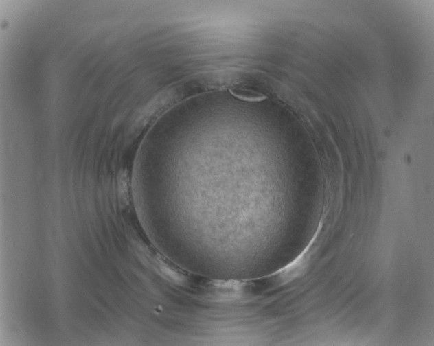 X0000075820144200609221343