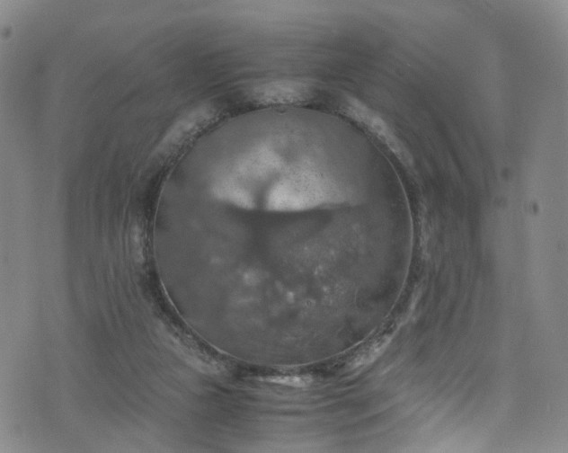 X0000075820161200609221343