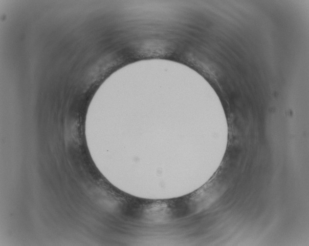 X0000075820162200609221343