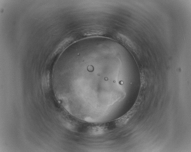 X0000075820163200609221343