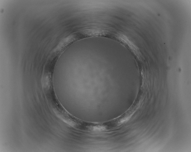 X0000075820165200609221343