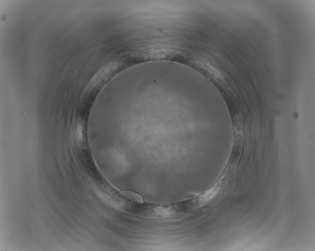 X0000075820166200609221343