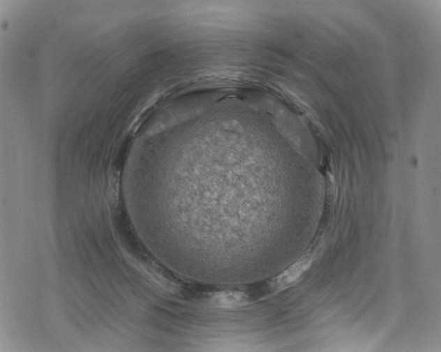 X0000075820168200609221343