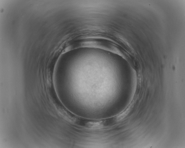 X0000075820170200609221343