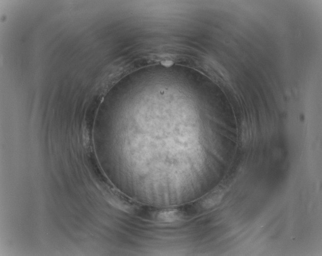 X0000075820173200609221343