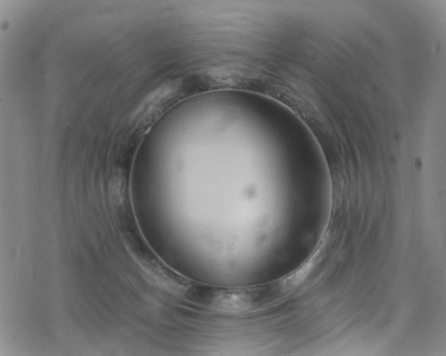 X0000075820174200609221343