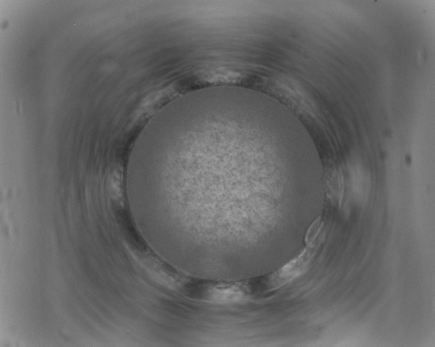 X0000075820175200609221343