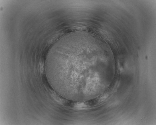 X0000075820177200609221343