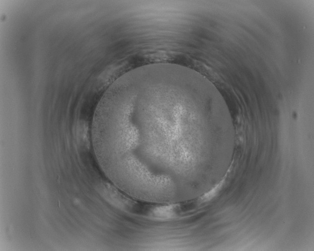 X0000075820178200609221343