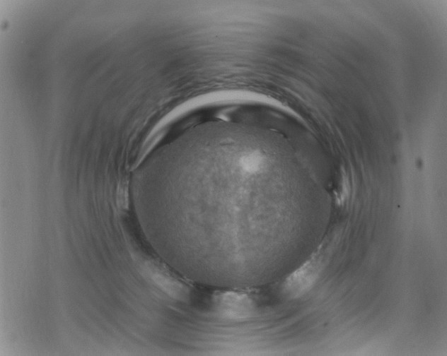 X0000075820180200609221343